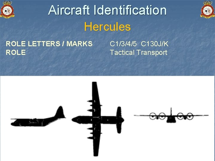 Aircraft Identification Hercules ROLE LETTERS / MARKS ROLE C 1/3/4/5 C 130 J/K Tactical