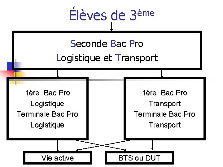 Élèves de 3ème Seconde Bac Pro Logistique et Transport 1ère Bac Pro Logistique Terminale