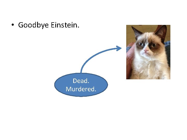  • Goodbye Einstein. Dead. Murdered. 
