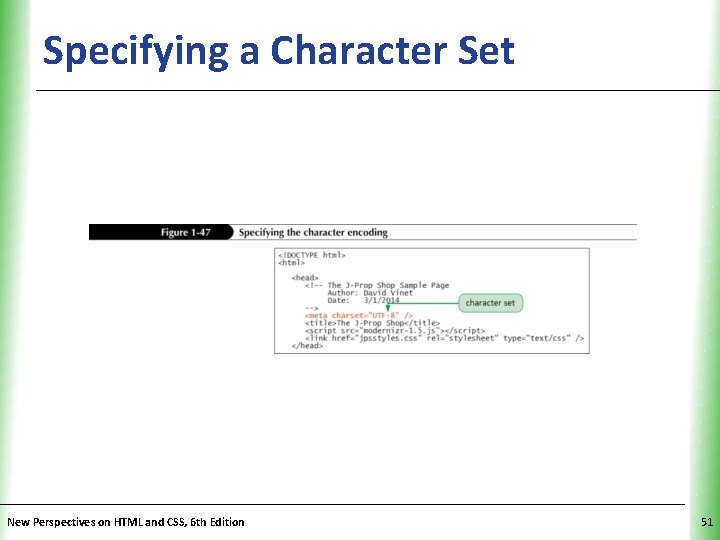 Specifying a Character Set New Perspectives on HTML and CSS, 6 th Edition XP
