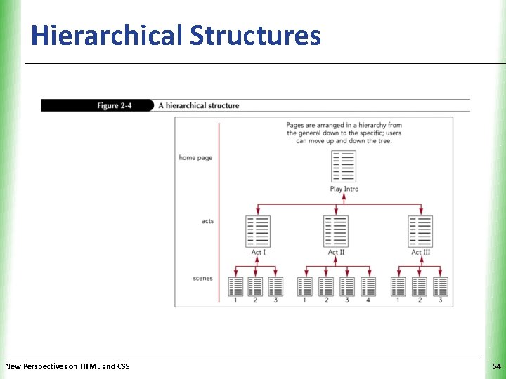 Hierarchical Structures New Perspectives on HTML and CSS XP 54 