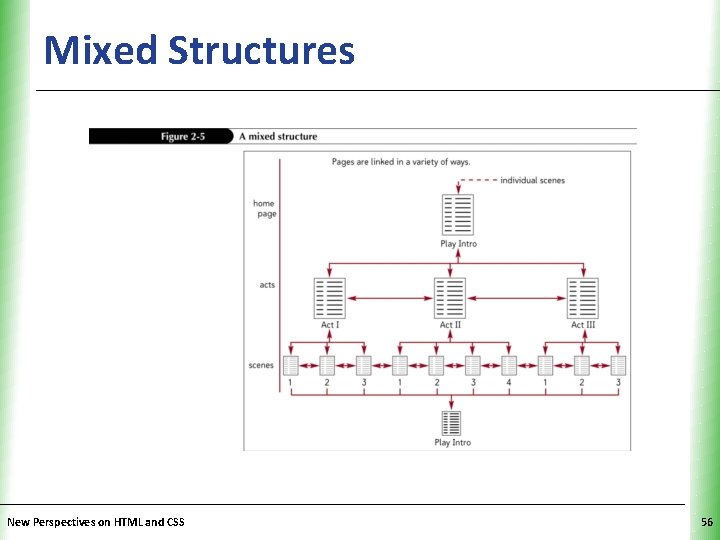 Mixed Structures New Perspectives on HTML and CSS XP 56 