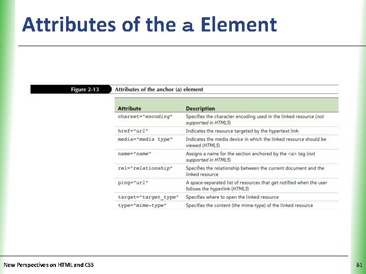 Attributes of the a Element New Perspectives on HTML and CSS XP 61 