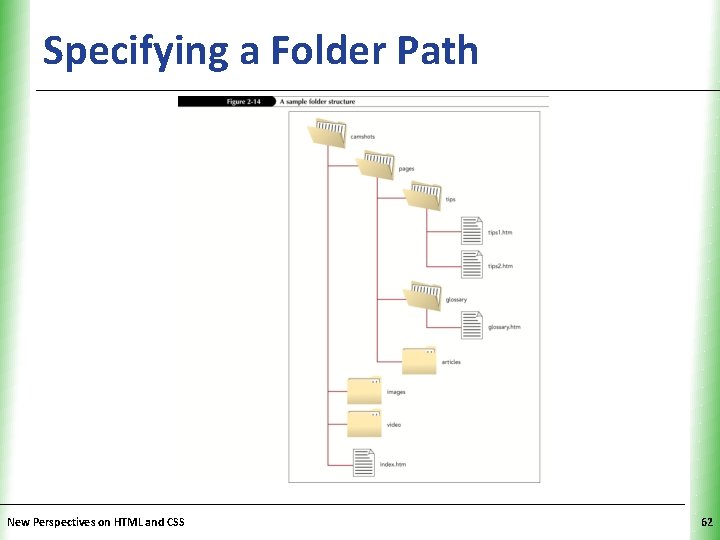 Specifying a Folder Path New Perspectives on HTML and CSS XP 62 