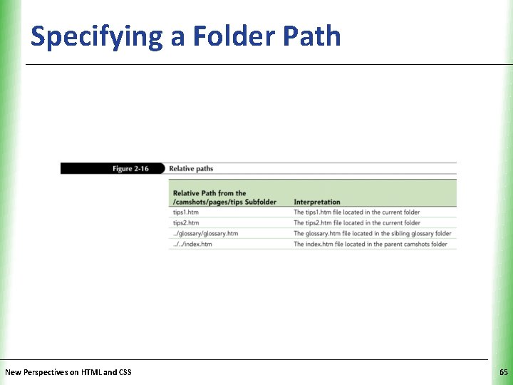 Specifying a Folder Path New Perspectives on HTML and CSS XP 65 