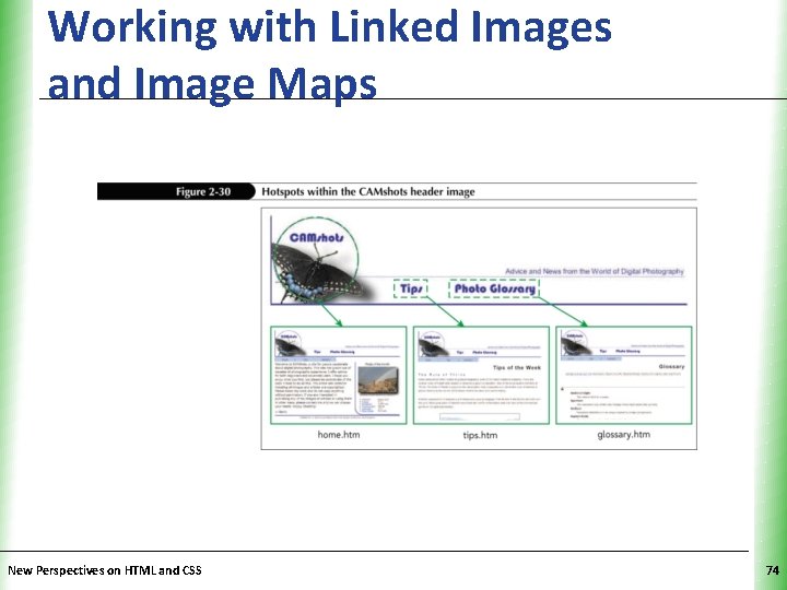 Working with Linked Images and Image Maps New Perspectives on HTML and CSS XP
