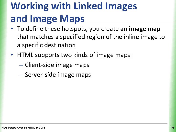 Working with Linked Images and Image Maps XP • To define these hotspots, you