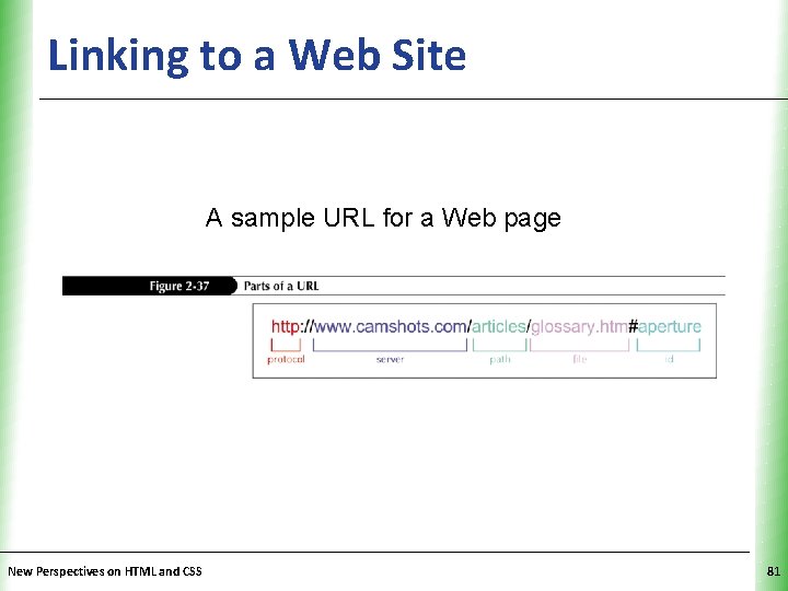 Linking to a Web Site XP A sample URL for a Web page New
