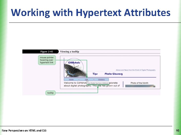 XP Working with Hypertext Attributes New Perspectives on HTML and CSS 93 