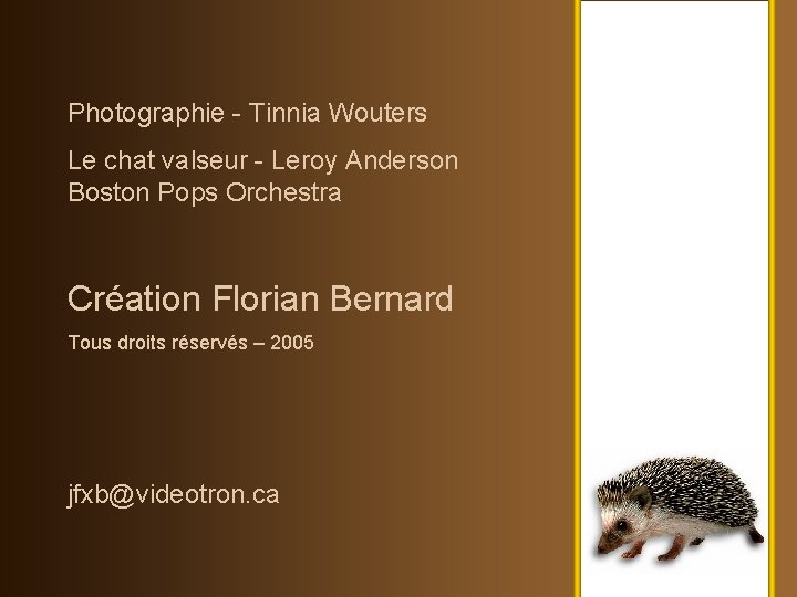Photographie - Tinnia Wouters Le chat valseur - Leroy Anderson Boston Pops Orchestra Création