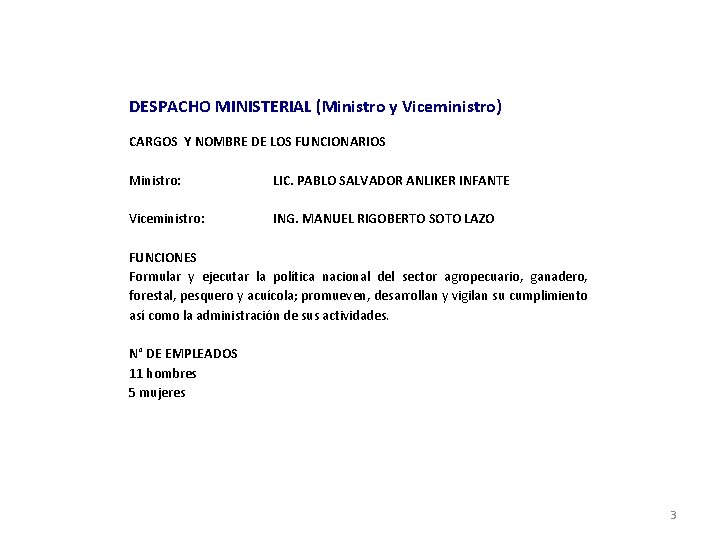 DESPACHO MINISTERIAL (Ministro y Viceministro) CARGOS Y NOMBRE DE LOS FUNCIONARIOS Ministro: LIC. PABLO