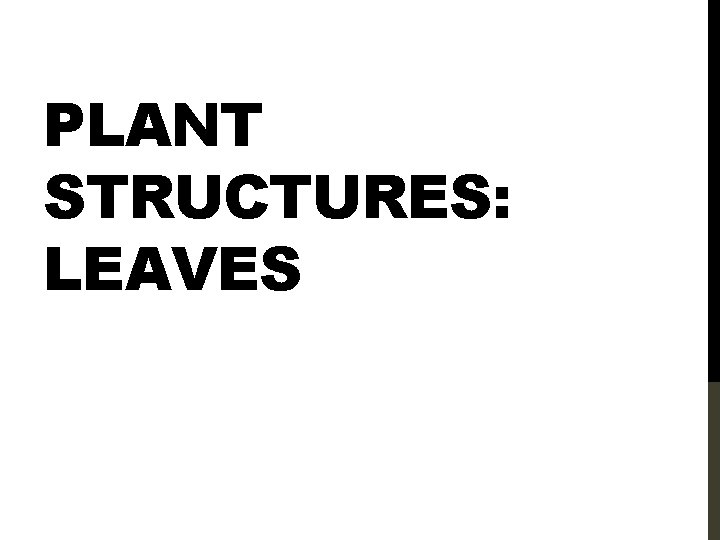 PLANT STRUCTURES: LEAVES 