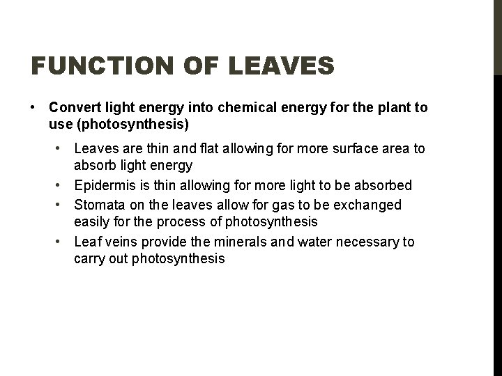 FUNCTION OF LEAVES • Convert light energy into chemical energy for the plant to