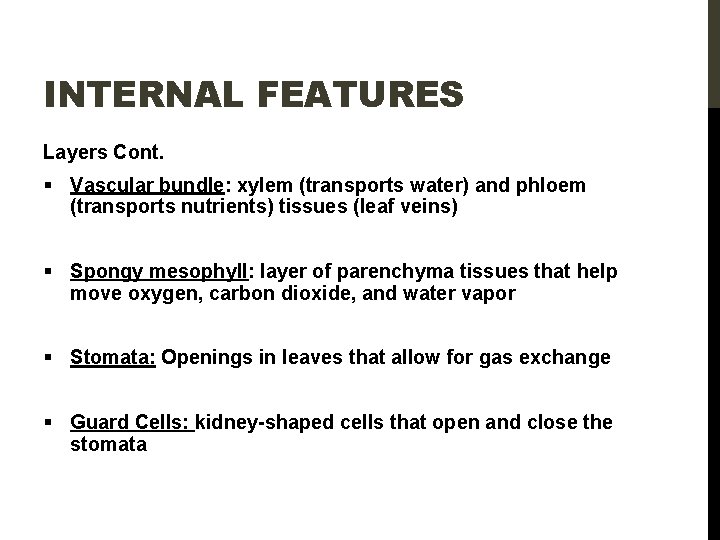 INTERNAL FEATURES Layers Cont. § Vascular bundle: xylem (transports water) and phloem (transports nutrients)