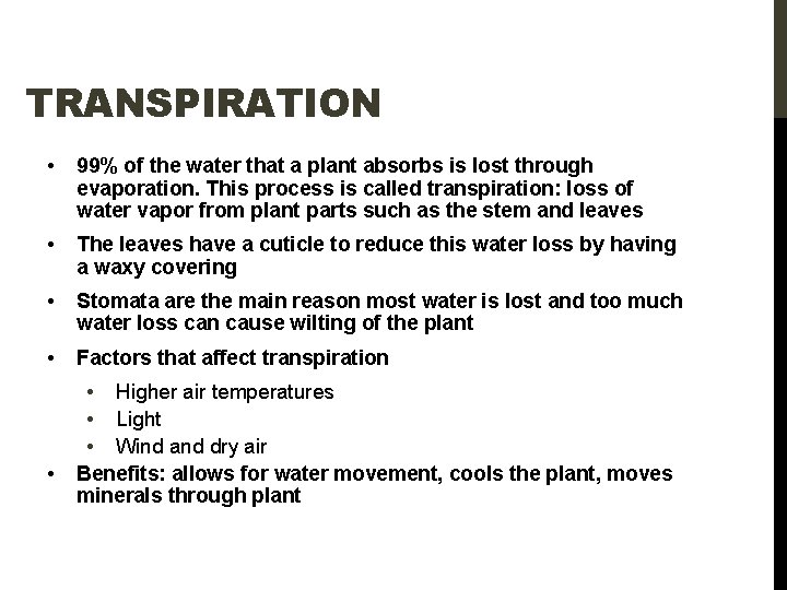 TRANSPIRATION • 99% of the water that a plant absorbs is lost through evaporation.