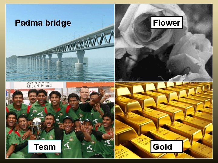 Padma bridge Flower What have you observed by the pictures? Team Gold 