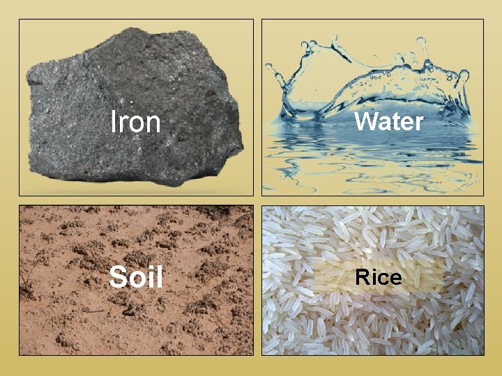 Iron Water Soil Rice 