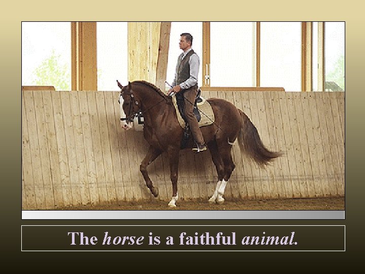 The horse is a faithful animal. 