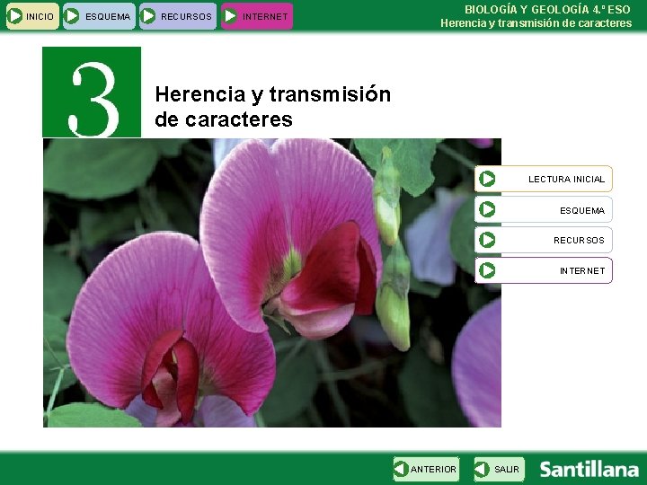 INICIO ESQUEMA RECURSOS INTERNET BIOLOGÍA Y GEOLOGÍA 4. º ESO Herencia y transmisión de
