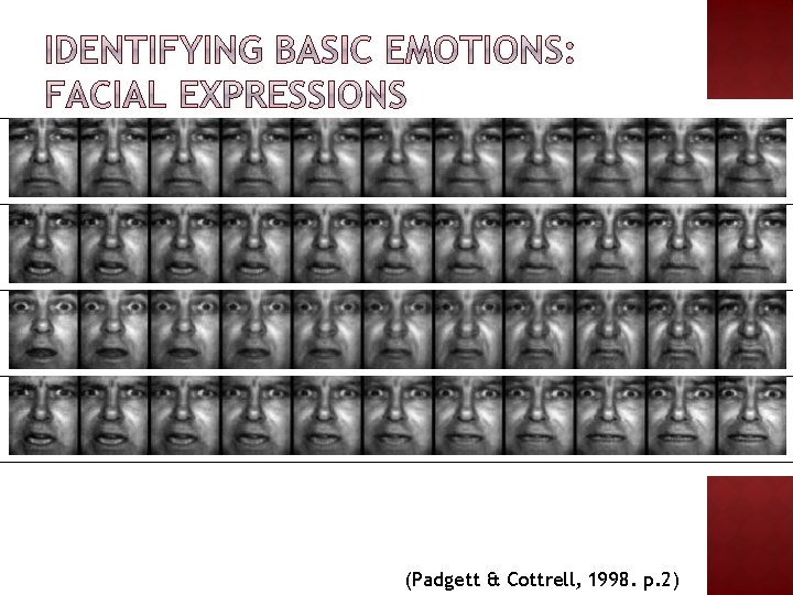 (Padgett & Cottrell, 1998. p. 2) 