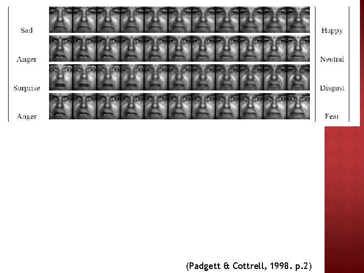 (Padgett & Cottrell, 1998. p. 2) 