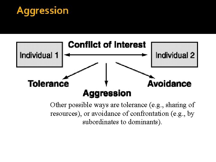 Aggression iarger context: Relational model Other possible ways are tolerance (e. g. , sharing