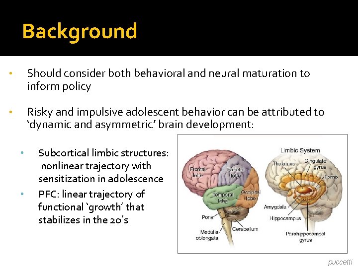 Background • Should consider both behavioral and neural maturation to inform policy • Risky