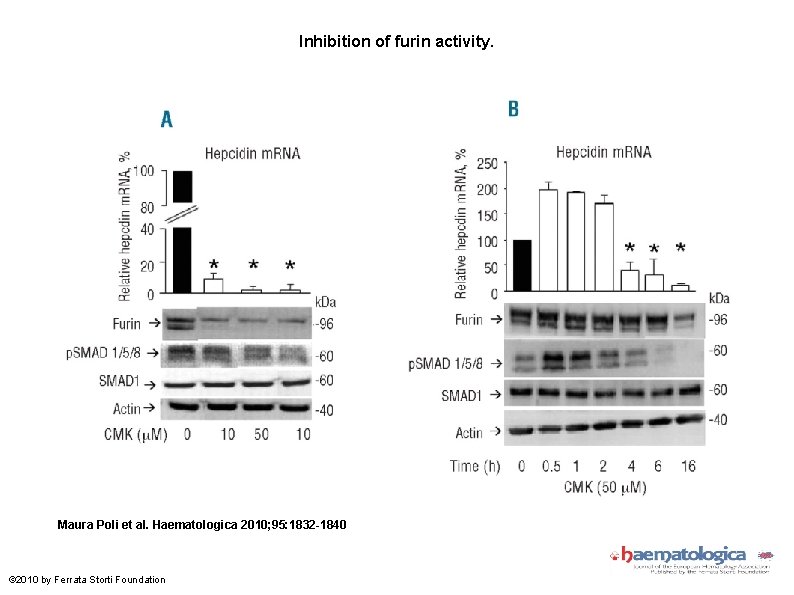 Inhibition of furin activity. Maura Poli et al. Haematologica 2010; 95: 1832 -1840 ©