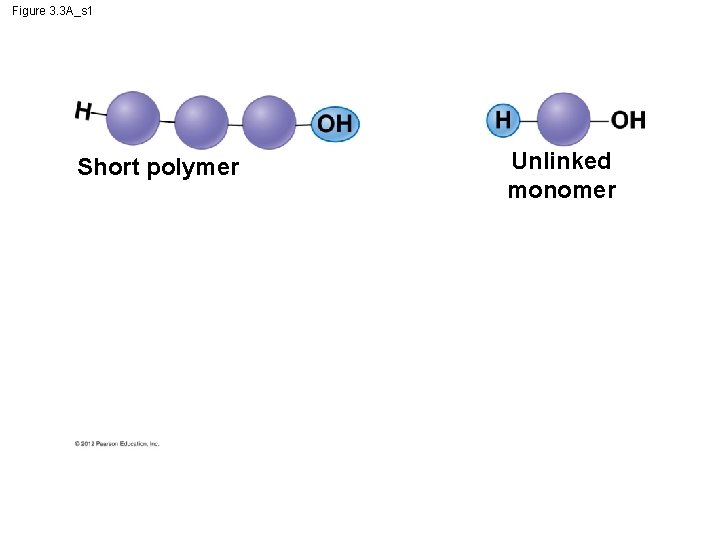 Figure 3. 3 A_s 1 Short polymer Unlinked monomer 