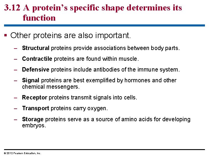3. 12 A protein’s specific shape determines its function § Other proteins are also