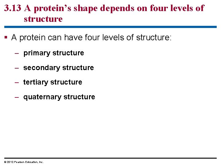 3. 13 A protein’s shape depends on four levels of structure § A protein