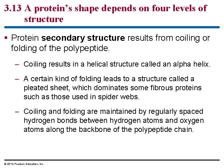 3. 13 A protein’s shape depends on four levels of structure § Protein secondary