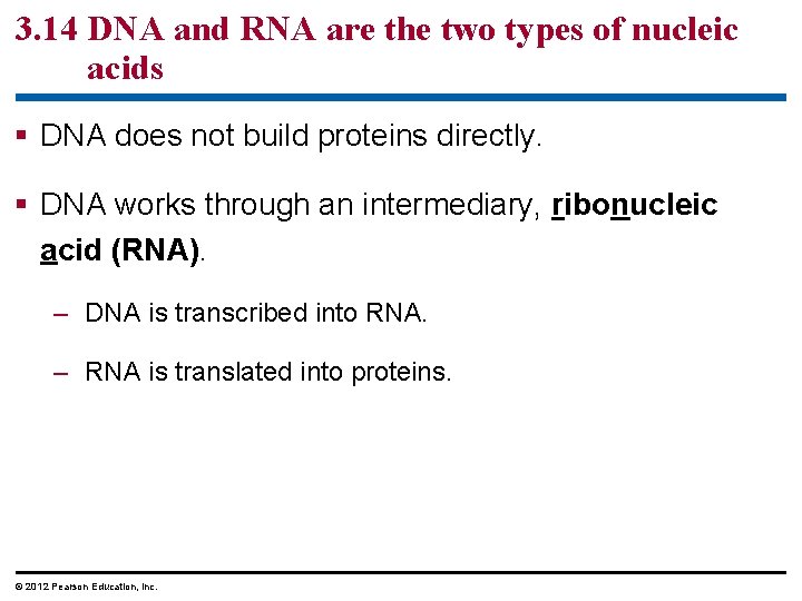 3. 14 DNA and RNA are the two types of nucleic acids § DNA
