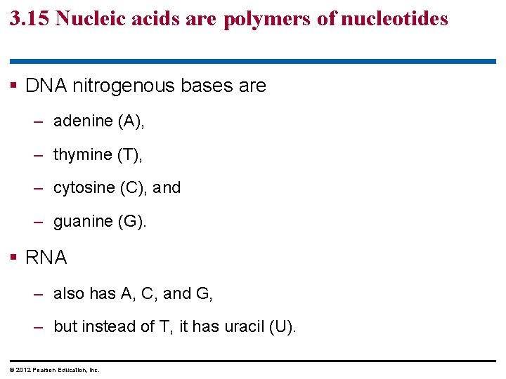 3. 15 Nucleic acids are polymers of nucleotides § DNA nitrogenous bases are –