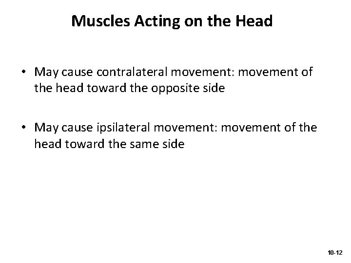 Muscles Acting on the Head • May cause contralateral movement: movement of the head