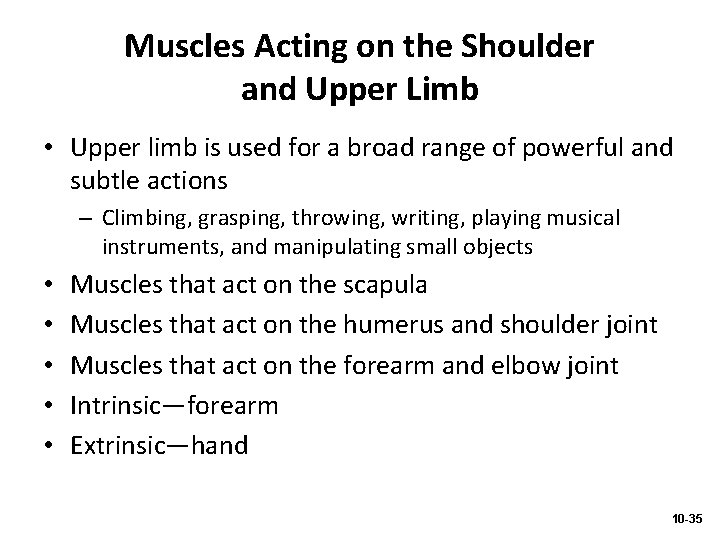 Muscles Acting on the Shoulder and Upper Limb • Upper limb is used for