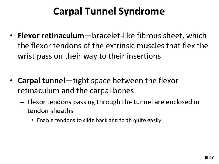 Carpal Tunnel Syndrome • Flexor retinaculum—bracelet-like fibrous sheet, which the flexor tendons of the
