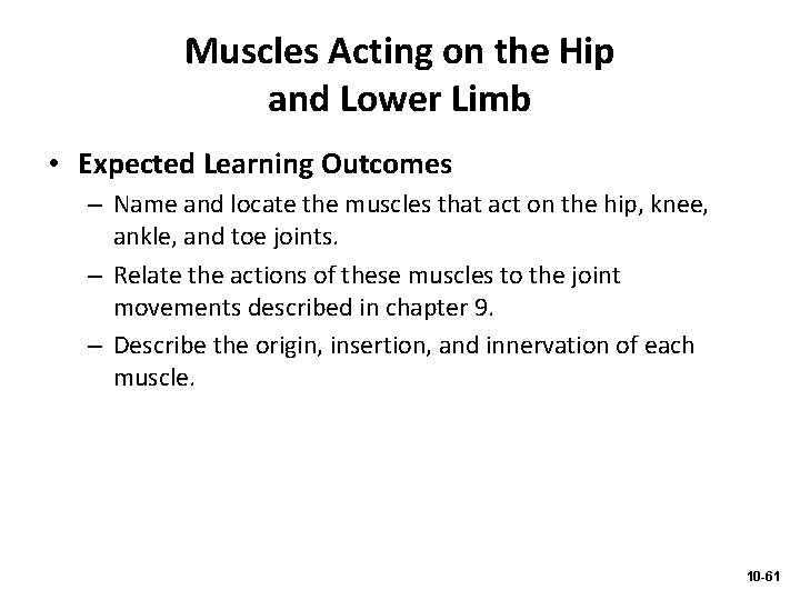Muscles Acting on the Hip and Lower Limb • Expected Learning Outcomes – Name