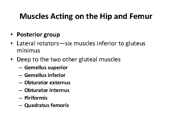 Muscles Acting on the Hip and Femur • Posterior group • Lateral rotators—six muscles