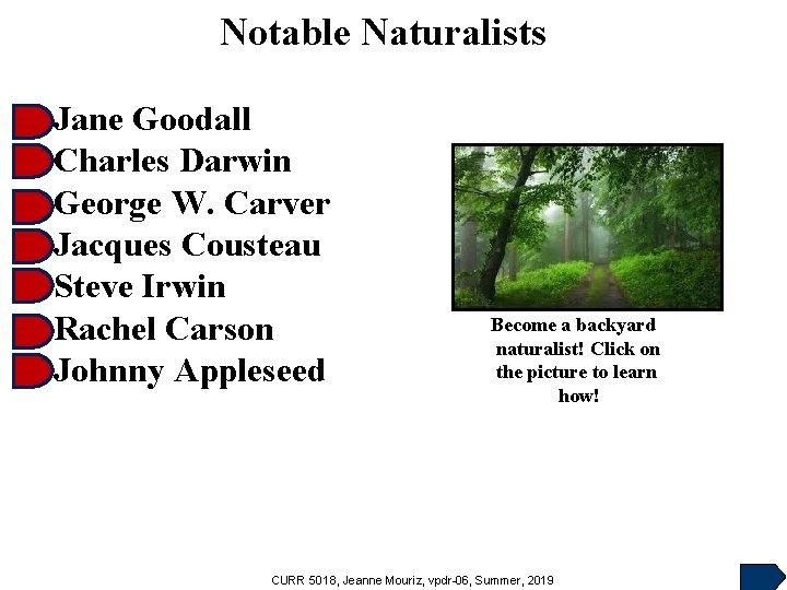 Notable Naturalists Jane Goodall Charles Darwin George W. Carver Jacques Cousteau Steve Irwin Rachel