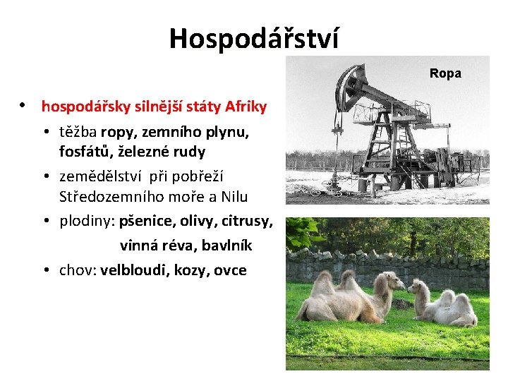 Hospodářství Ropa • hospodářsky silnější státy Afriky • těžba ropy, zemního plynu, fosfátů, železné