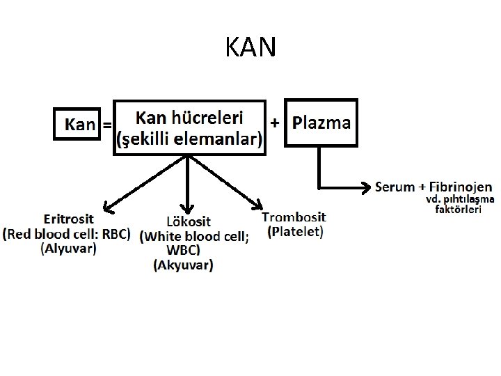 KAN 