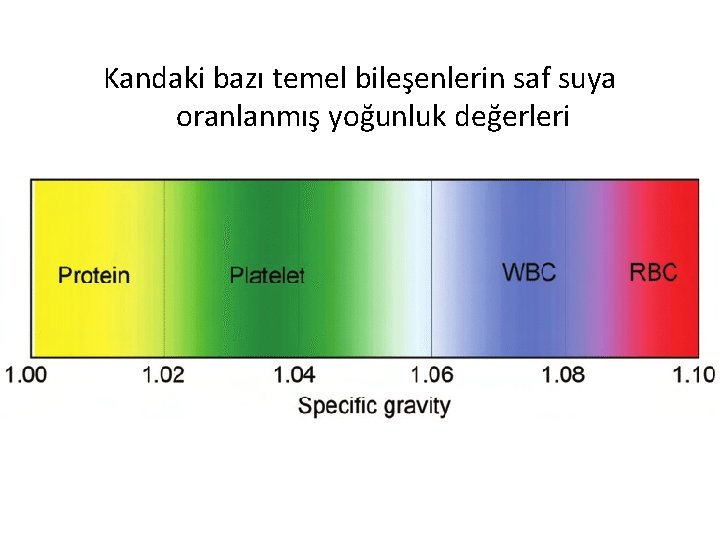 Kandaki bazı temel bileşenlerin saf suya oranlanmış yoğunluk değerleri 