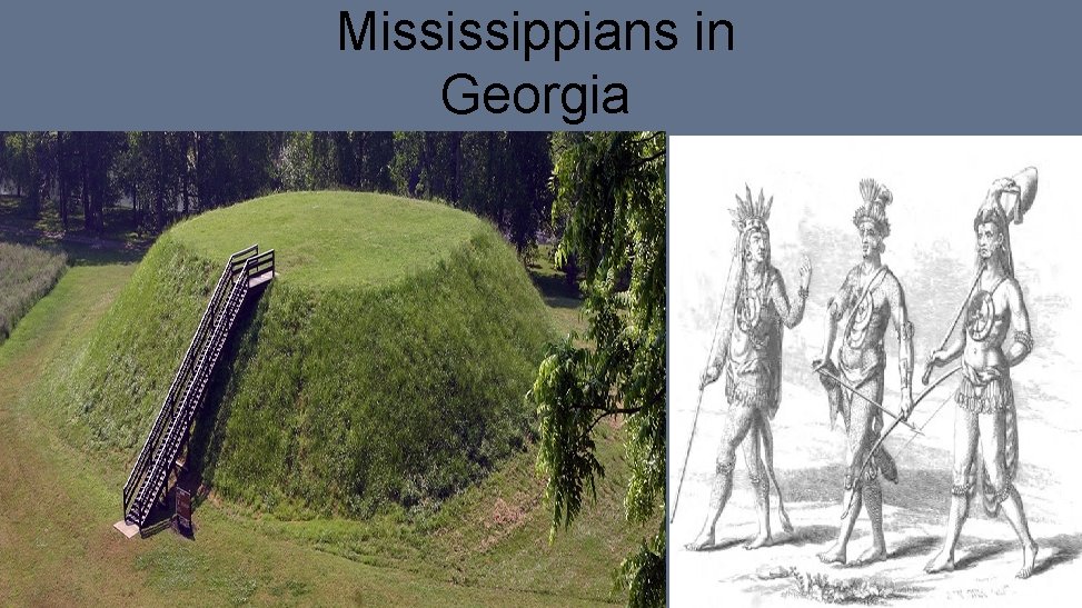 Mississippians in Georgia 