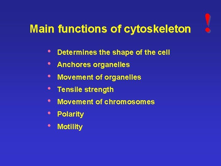 Main functions of cytoskeleton • • Determines the shape of the cell Anchores organelles