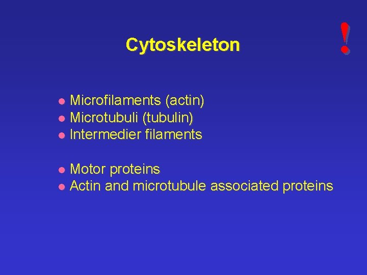 Cytoskeleton Microfilaments (actin) l Microtubuli (tubulin) l Intermedier filaments l Motor proteins l Actin