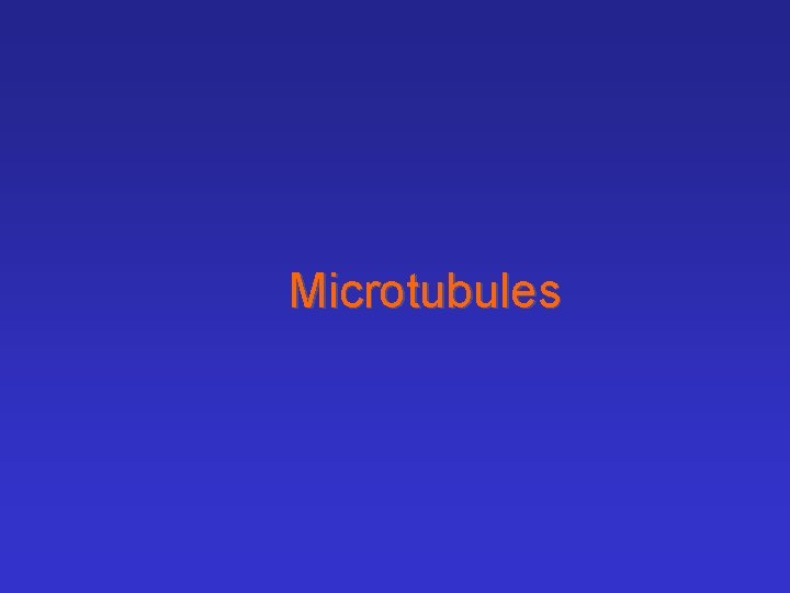 Microtubules 