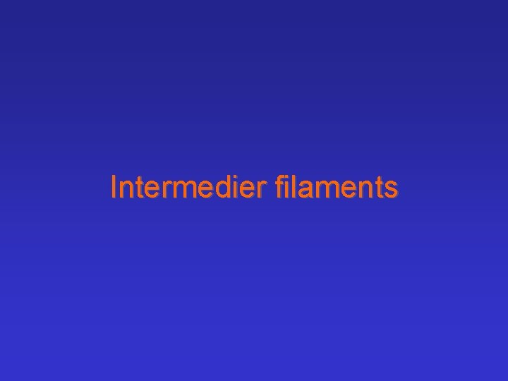 Intermedier filaments 