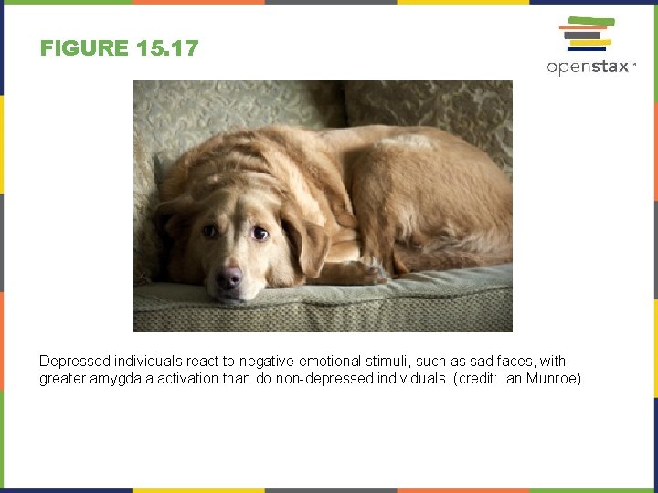 FIGURE 15. 17 Depressed individuals react to negative emotional stimuli, such as sad faces,