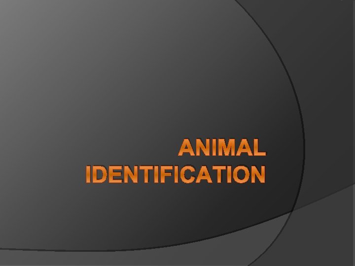 ANIMAL IDENTIFICATION 